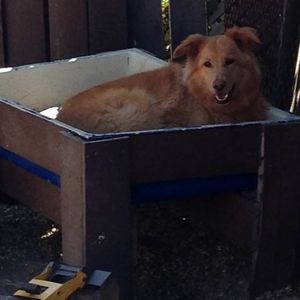 Meet your Posher, Chris